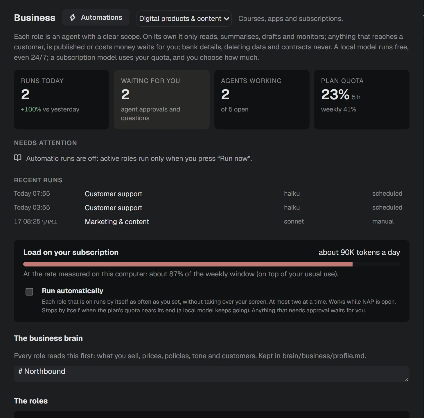 NAP screenshot: business roles and runs
